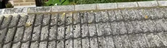 Retained ridge tiles and weathered roof tiles along a roof slope